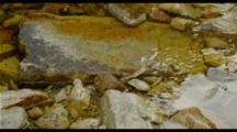 Clear Water Running Over Rocks In A Mountain Stream.