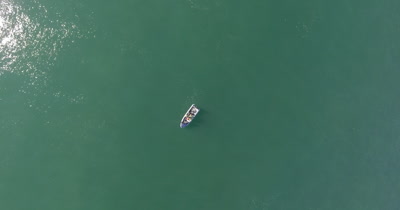 Southern Right Whales by drone in Hermanus SA