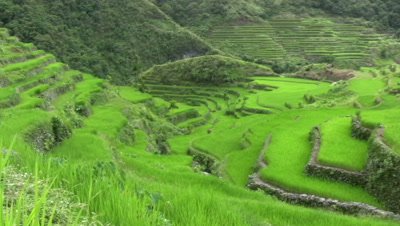 Batad rice terraces,Philippines