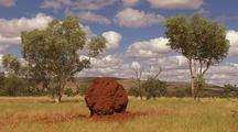 Termite Mound in Landscape, Kimberly