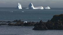 View Of Distant Melting Icebergs From Macaroni Penguin Nesting Colony Site