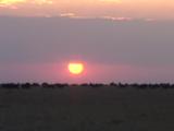 African Sunrise and Sunsets
