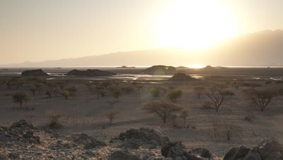Wide angle sunrise over scrubby grassland beside lake dotted with acacia trees burning out to horizon