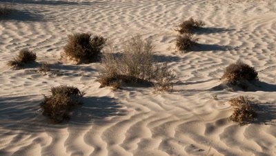 Mid shot shadows move across white sand dune with scrubby plants until all in darkness