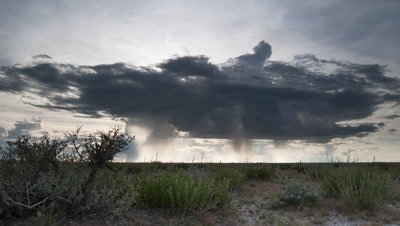 Wide angle slow moving rain clouds drop showers over scrubby salt-pan landscape with sun rays pushing through clouds as light fades and grows dark