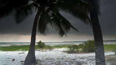 Wide angle track along the back of beach behind coconut palms as dark storm clouds race over the sea with occasional bursts of sunlight