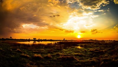 Over cast Sunrise, Okavango Delta