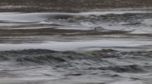 River Flowing Over Submerged Rocks In Spring, Winter Breakup