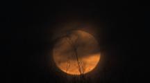 Full Moon In Mist, Moving Past Deciduous Tree Branches