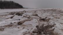 Frozen Driftwood, Locked In Beach, Lake Superior South Shore