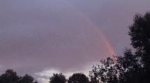 Rainbow Against Dark Storm Clouds, Deciduous Trees