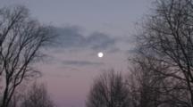 Winter Moon, Clouds, Framed By Deciduous, Bare, Trees