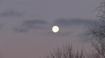 Winter Moon, Clouds, Framed By Deciduous, Bare, Trees, Zoom To Cu