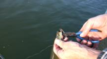 Catch And Release Brook Trout Fishing In Minnesota, Bringing Trout To Boat, Remove Hook, Fish Swims Away