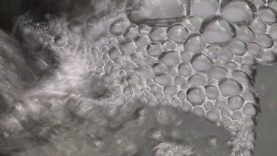 Small Bubbles Forming in Waterfall,Circling Around in Water