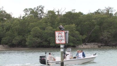 Pelican on Manatee Sign,ZO Boat Passes Beneath