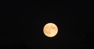 Full Moon,Super Moon