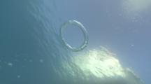 Andy Blowing Bubble Ring, Red Sea, Egypt
