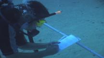 Underwater Survey. Underwater. Red Sea. Egypt