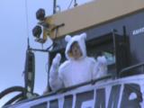 Protestors On Large Vehicle - Dressed As Polar Bears. Open Cast Mine. Wales