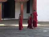 Mws Monks In Street. Monastery. Tibet