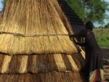 Building Traditional Reed Roof Home, Southern Sudan