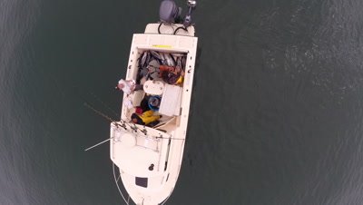 Aerial shot of an Albacore Tuna fishing sport boat with dead fish in the boat 