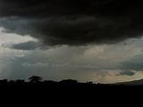 Stormy Skies Above Savanna