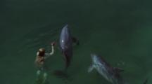 Woman Interacts With Dolphins During Show